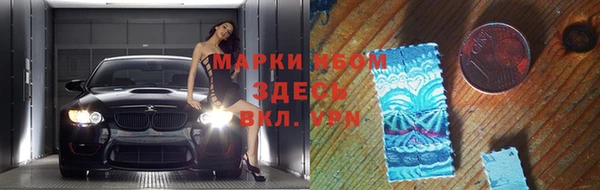 гашик Дмитров