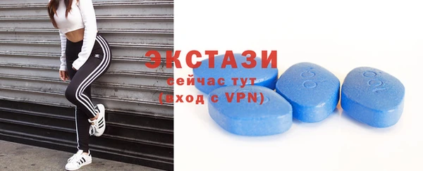 гашик Дмитров