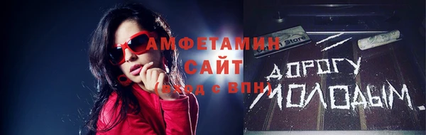 гашик Дмитров