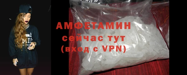 гашик Дмитров
