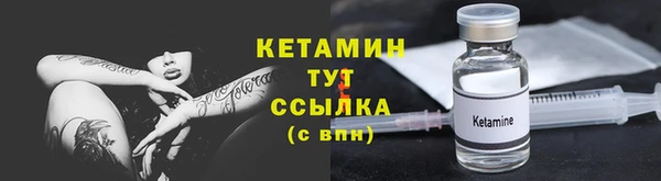 гашик Дмитров