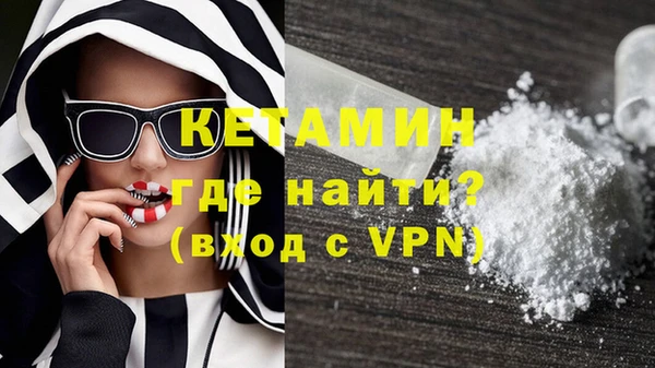 гашик Дмитров