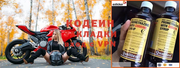гашик Дмитров