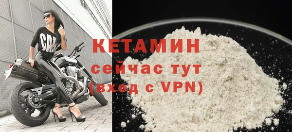 гашик Дмитров