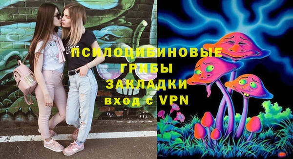 гашик Дмитров