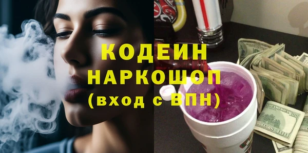 гашик Дмитров