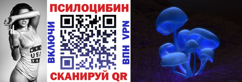 hydra ссылка  Заречный  Галлюциногенные грибы Psilocybine cubensis  закладка 