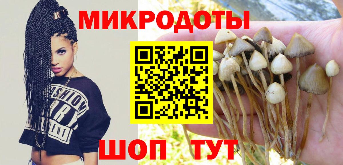 Галлюциногенные грибы ЛСД Заречный