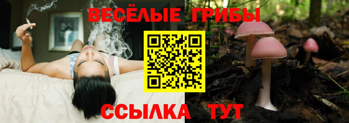 Заречный  Галлюциногенные грибы ЛСД  Вход с VPN 